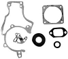 Stihl 038, MS380 Gasket Set For Chainsaws. Replaces Part No. 1119-007-1050.
