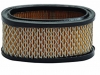 Briggs & Stratton Air Filter fits 11 HP Vertical Engines 251700 & 252700 Series